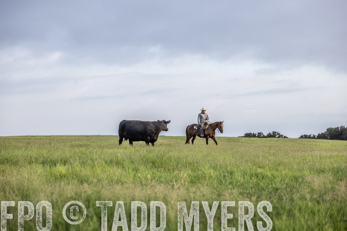 TMyers_44Farms_CameronTX_July2022--523824