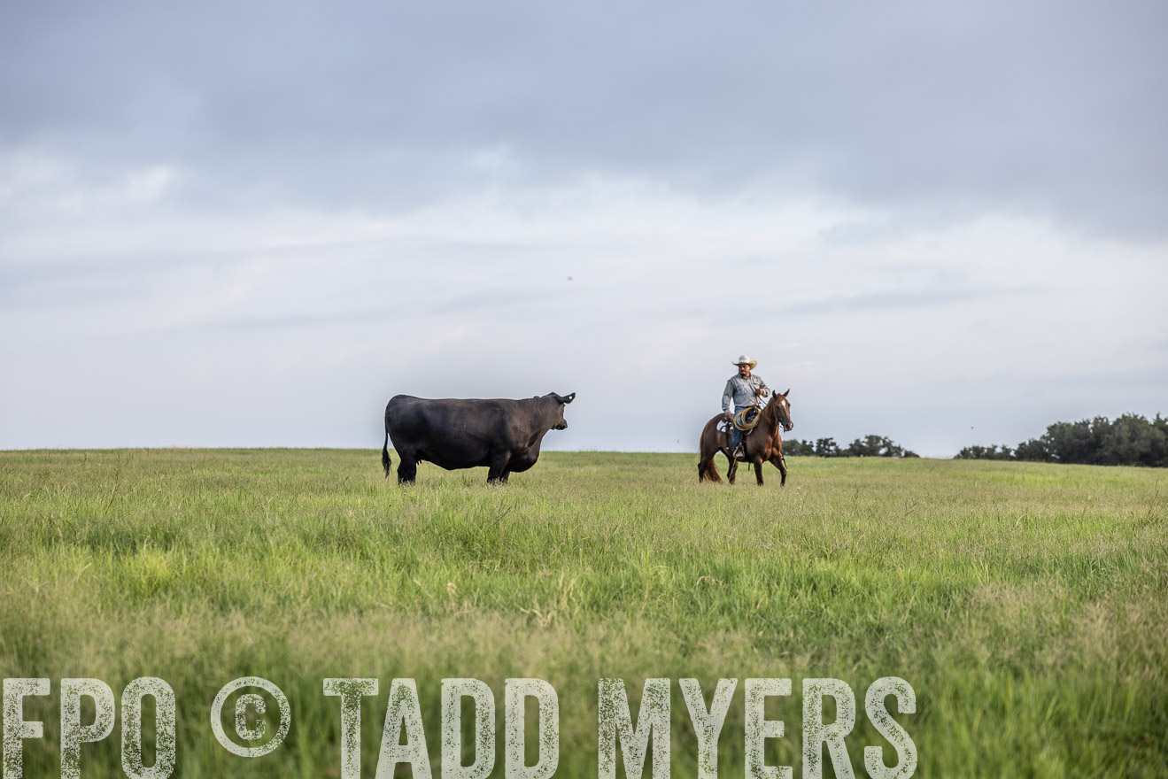 TMyers_44Farms_CameronTX_July2022--523825