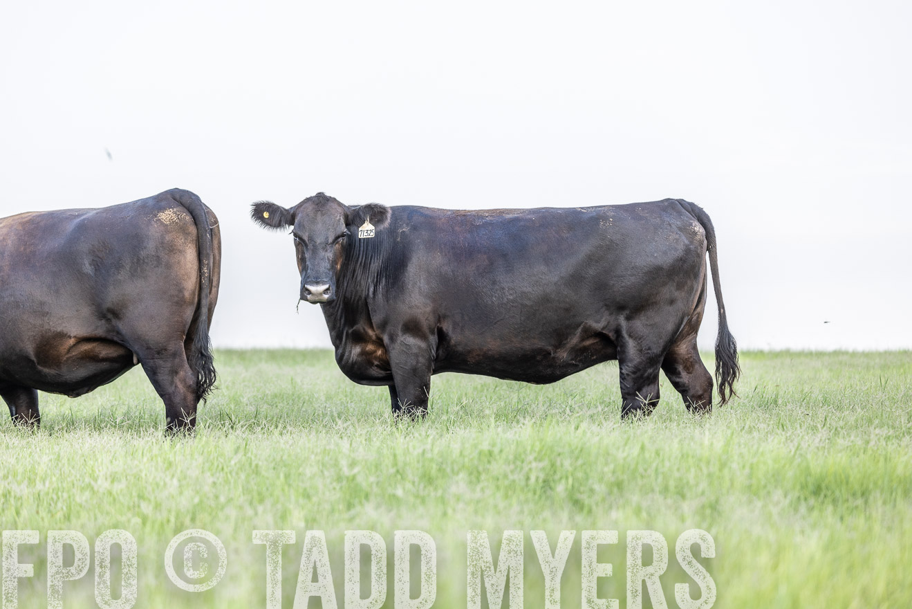 TMyers_44Farms_CameronTX_July2022--523999