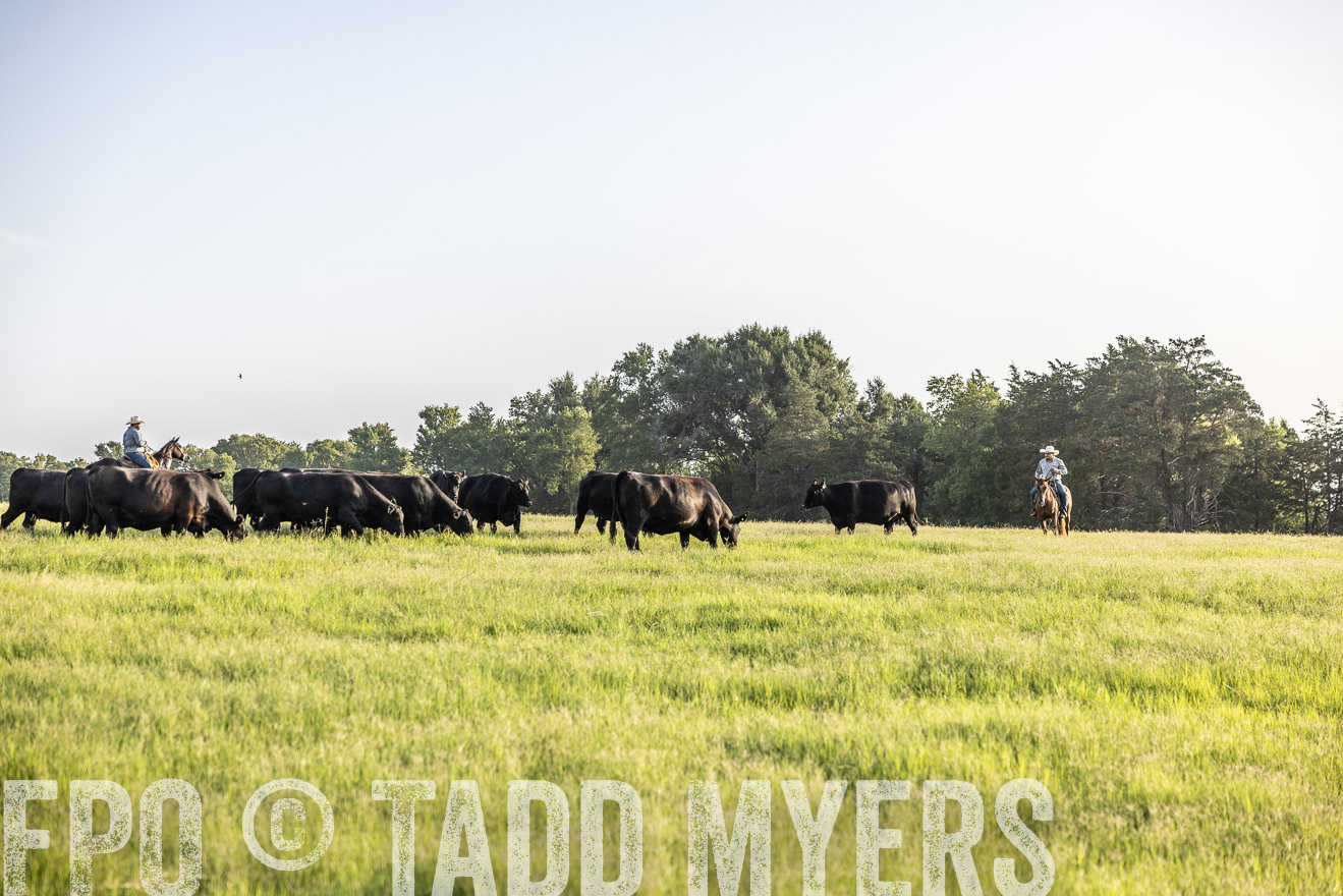 TMyers_44Farms_CameronTX_July2022--524139