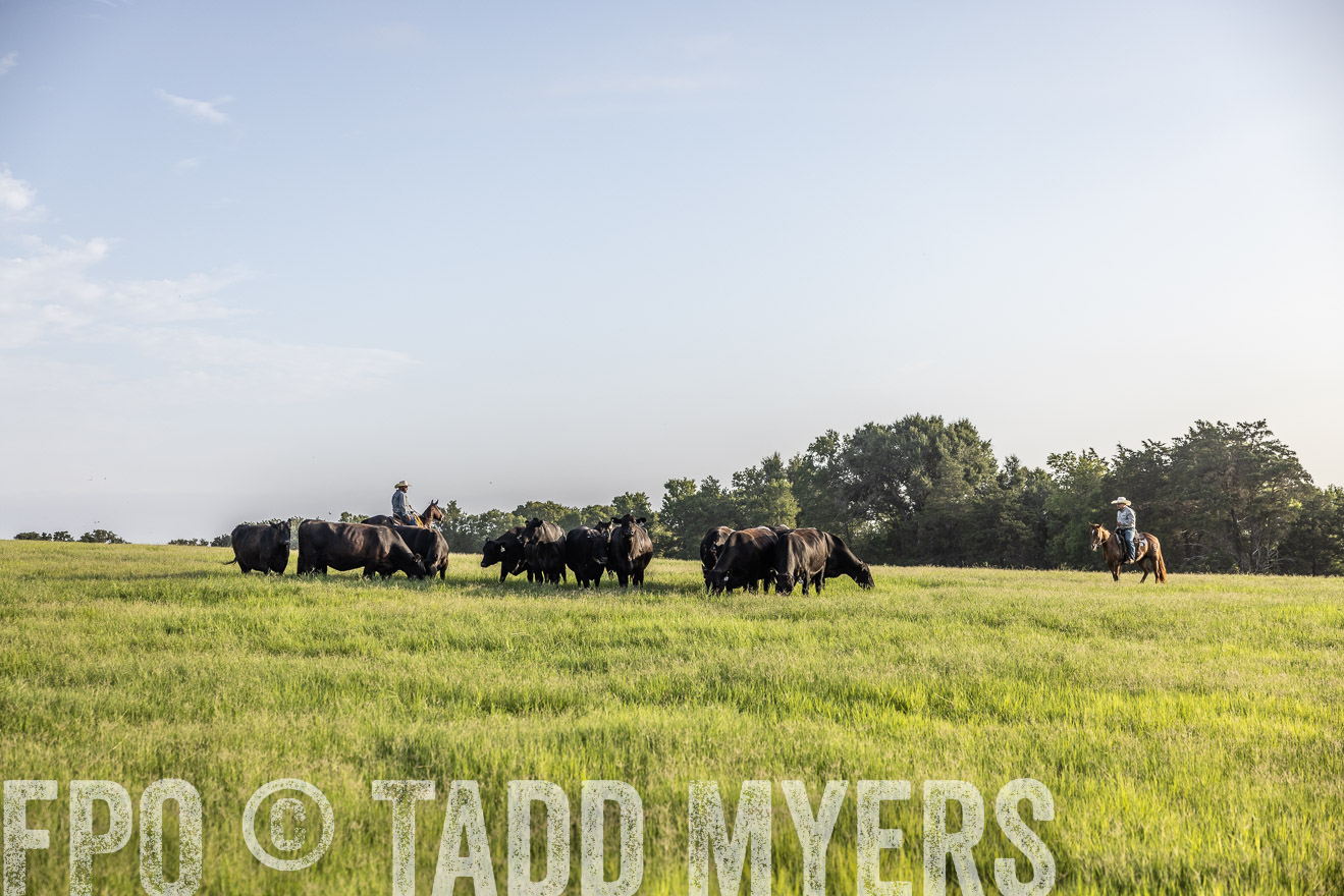 TMyers_44Farms_CameronTX_July2022--524144