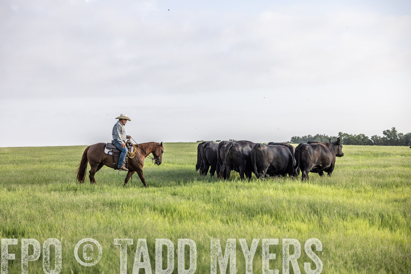 TMyers_44Farms_CameronTX_July2022--524214