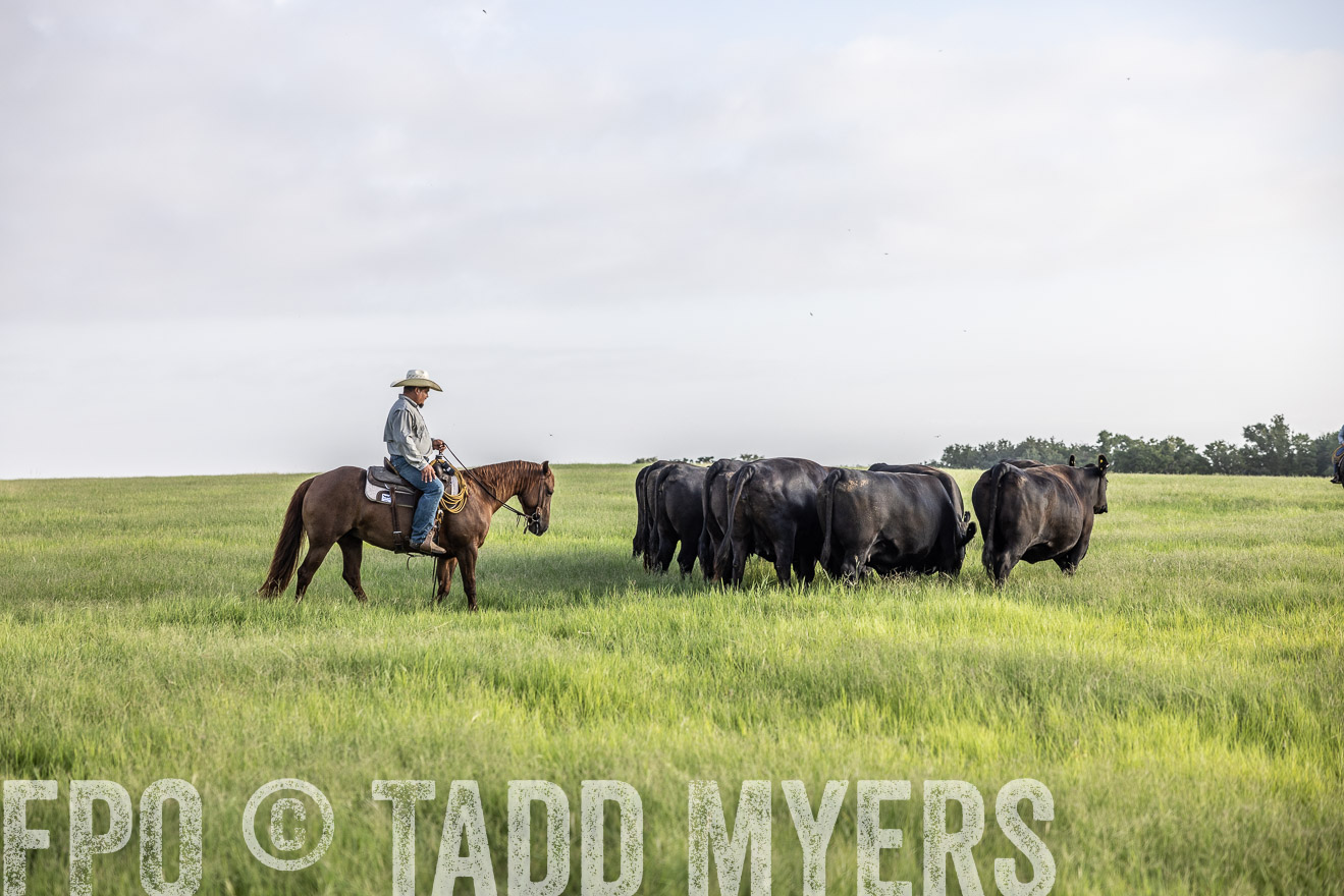 TMyers_44Farms_CameronTX_July2022--524215