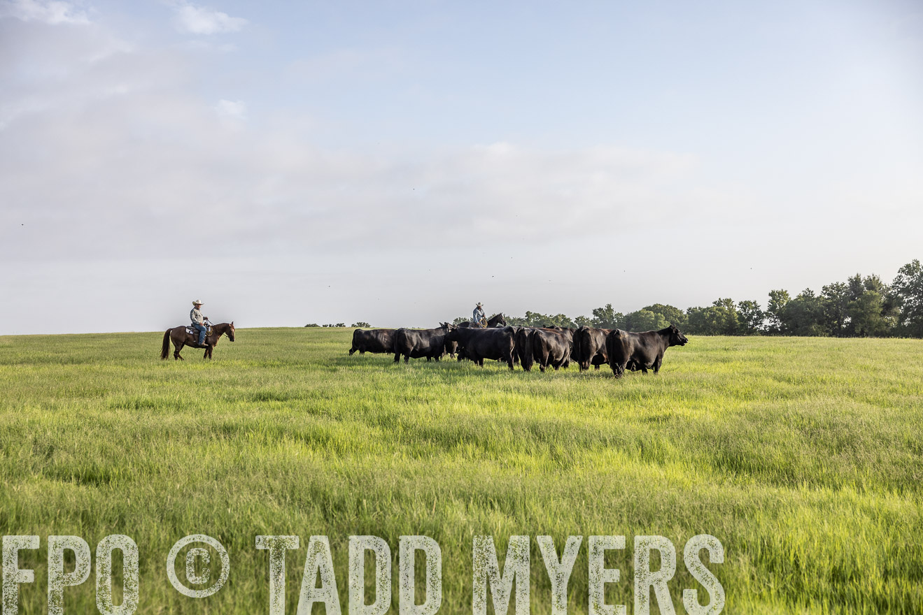 TMyers_44Farms_CameronTX_July2022--524222