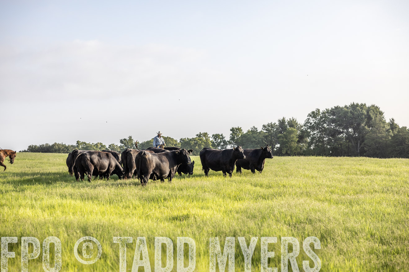 TMyers_44Farms_CameronTX_July2022--524224