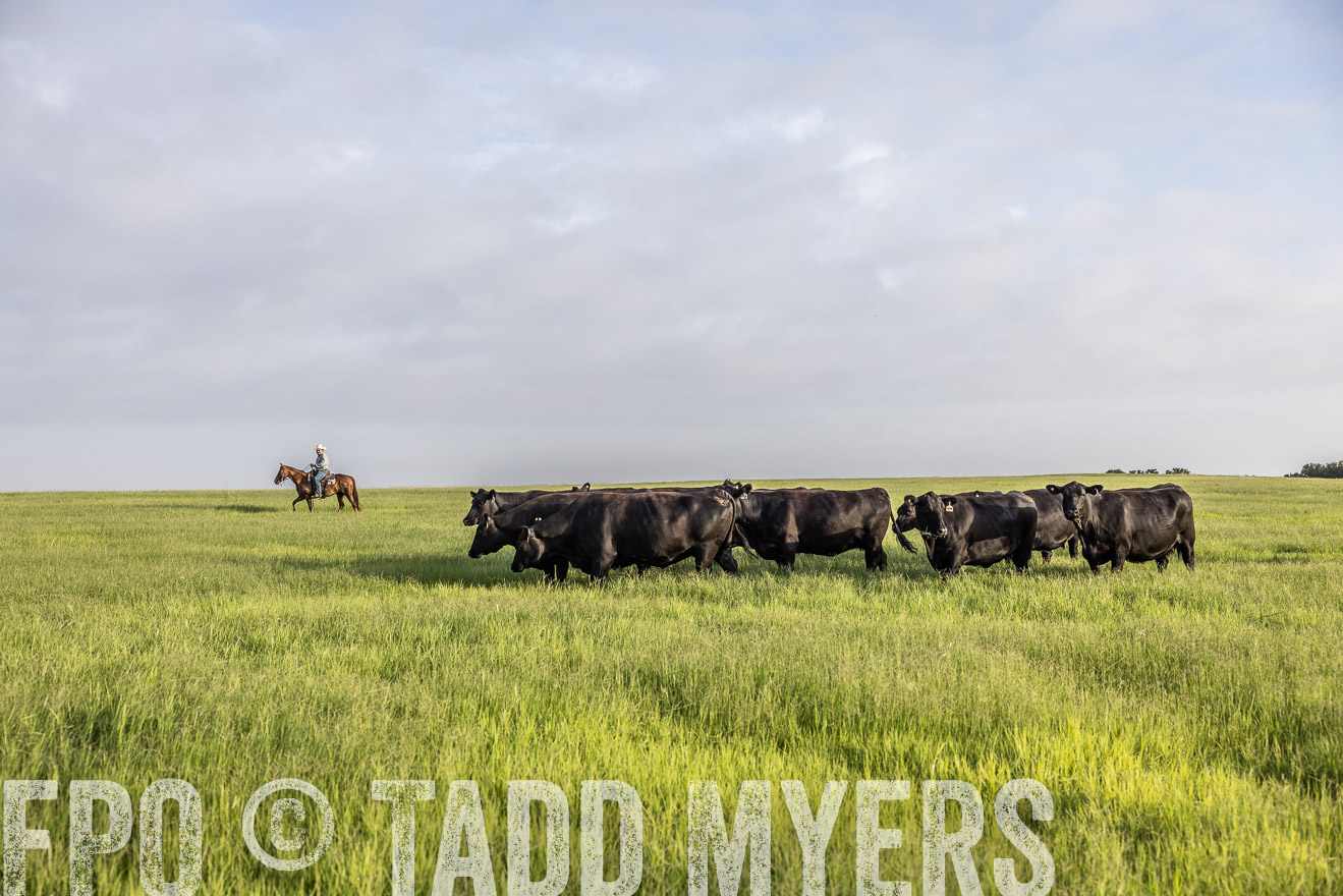 TMyers_44Farms_CameronTX_July2022--524235