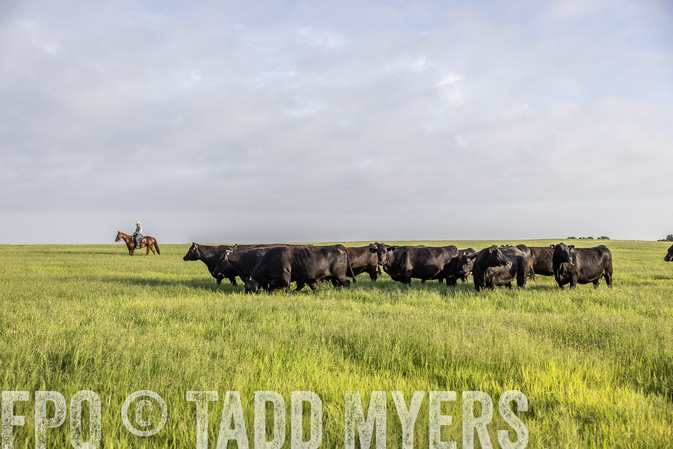 TMyers_44Farms_CameronTX_July2022--524237