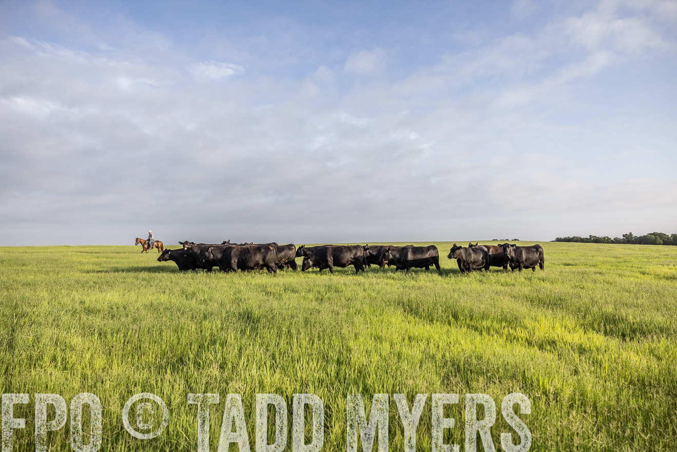 TMyers_44Farms_CameronTX_July2022--524240