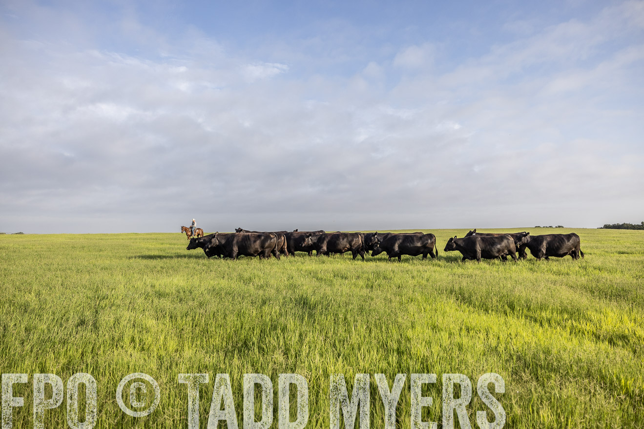 TMyers_44Farms_CameronTX_July2022--524243