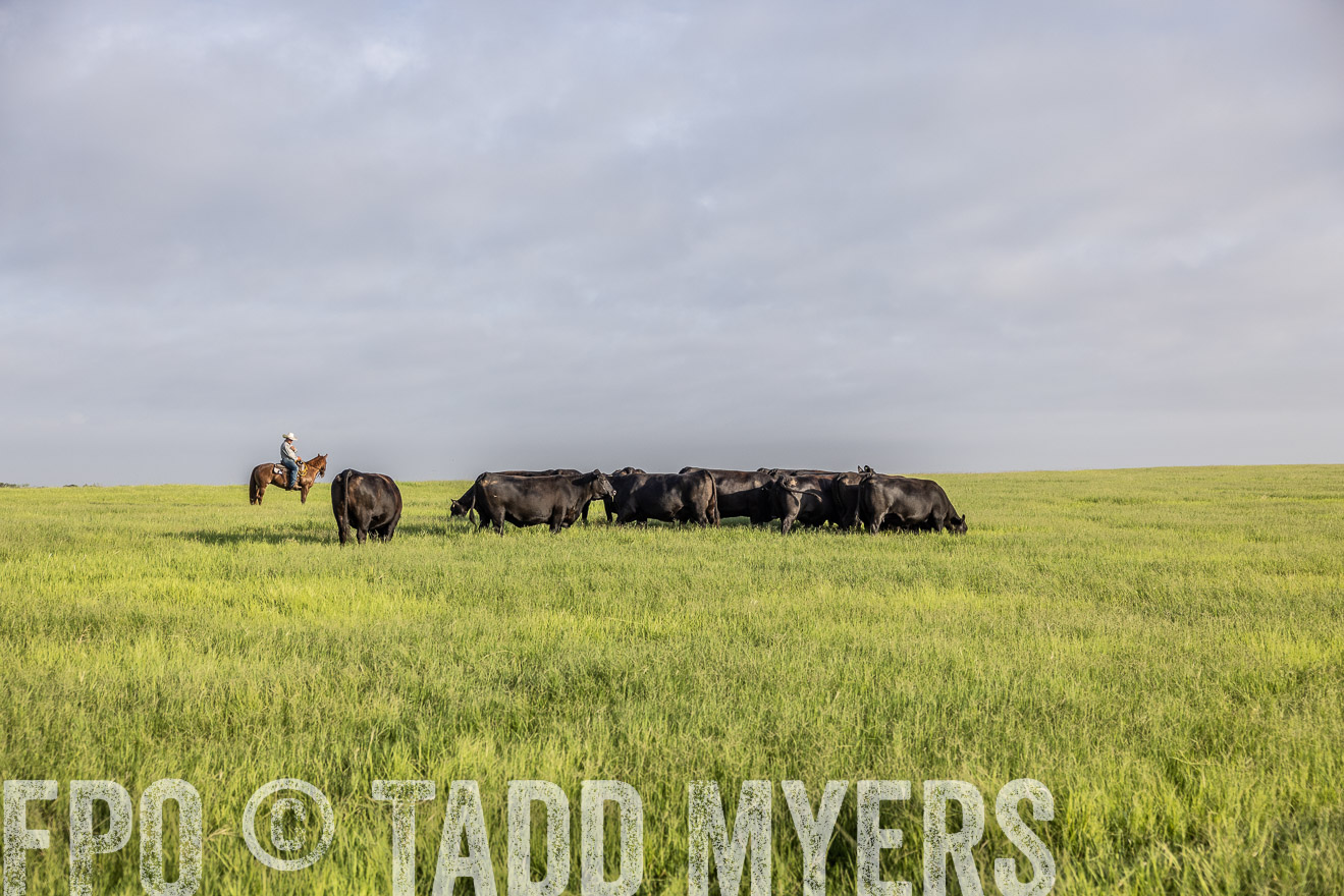 TMyers_44Farms_CameronTX_July2022--524327