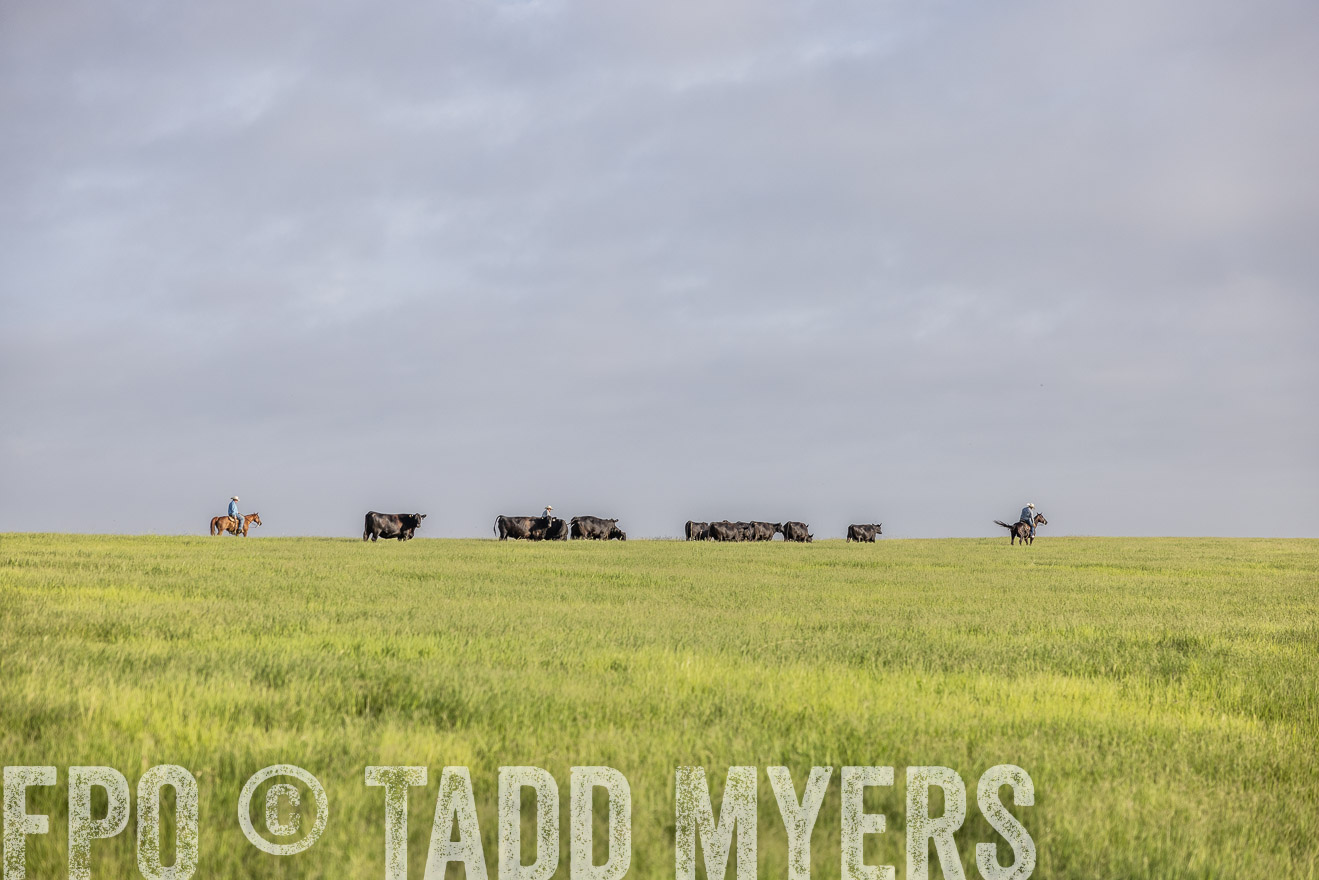 TMyers_44Farms_CameronTX_July2022--524349