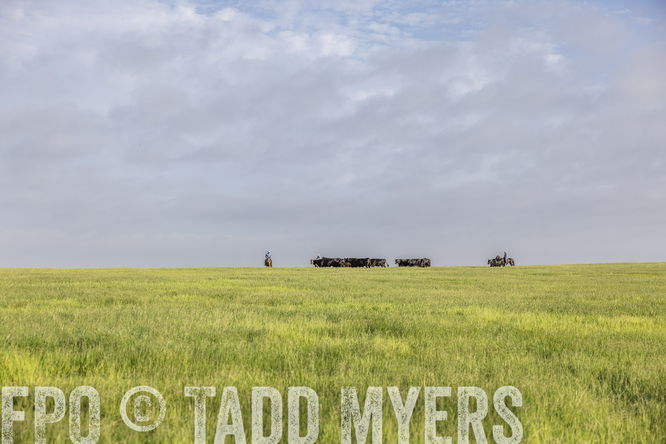 TMyers_44Farms_CameronTX_July2022--524354