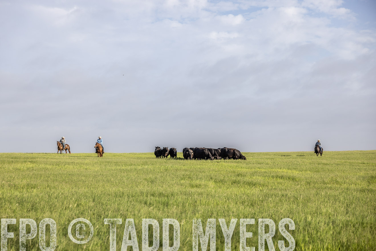 TMyers_44Farms_CameronTX_July2022--524373
