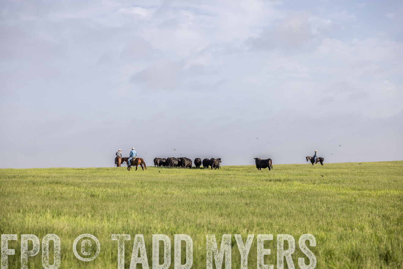 TMyers_44Farms_CameronTX_July2022--524450