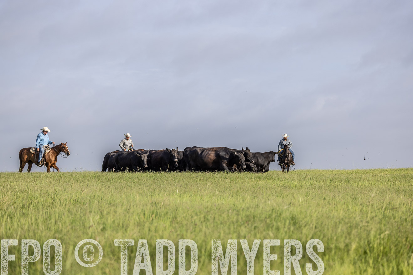TMyers_44Farms_CameronTX_July2022--524468