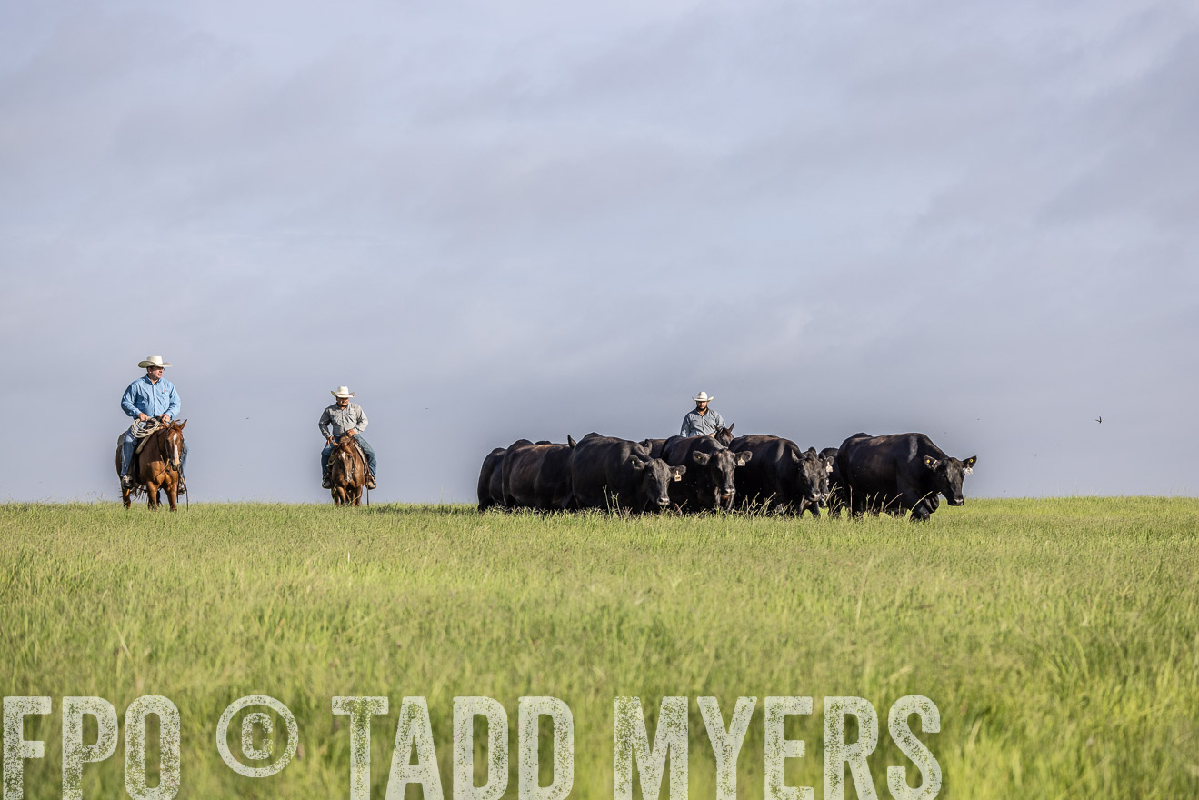 TMyers_44Farms_CameronTX_July2022--524480