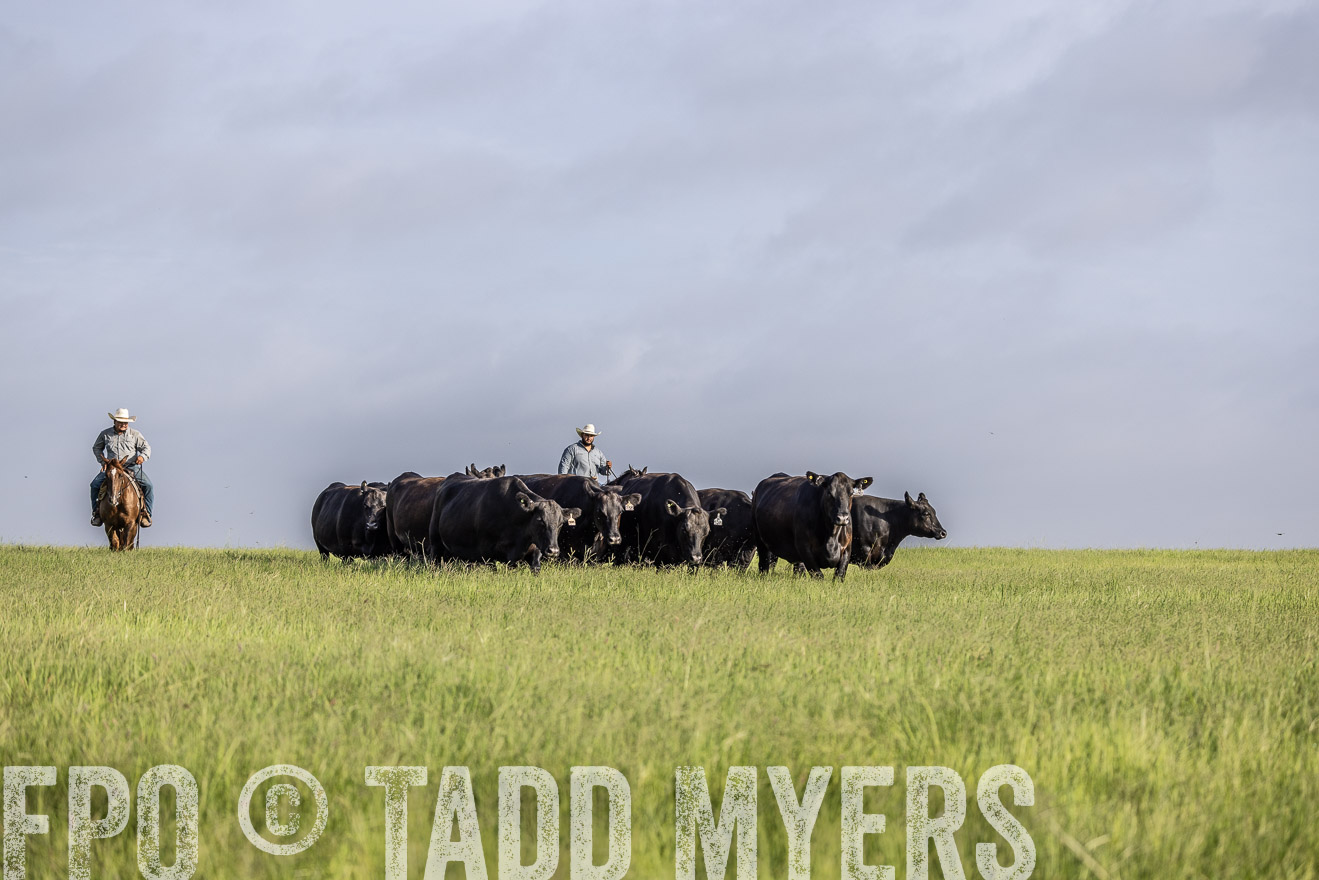 TMyers_44Farms_CameronTX_July2022--524483