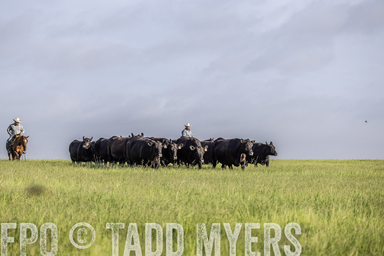 TMyers_44Farms_CameronTX_July2022--524486