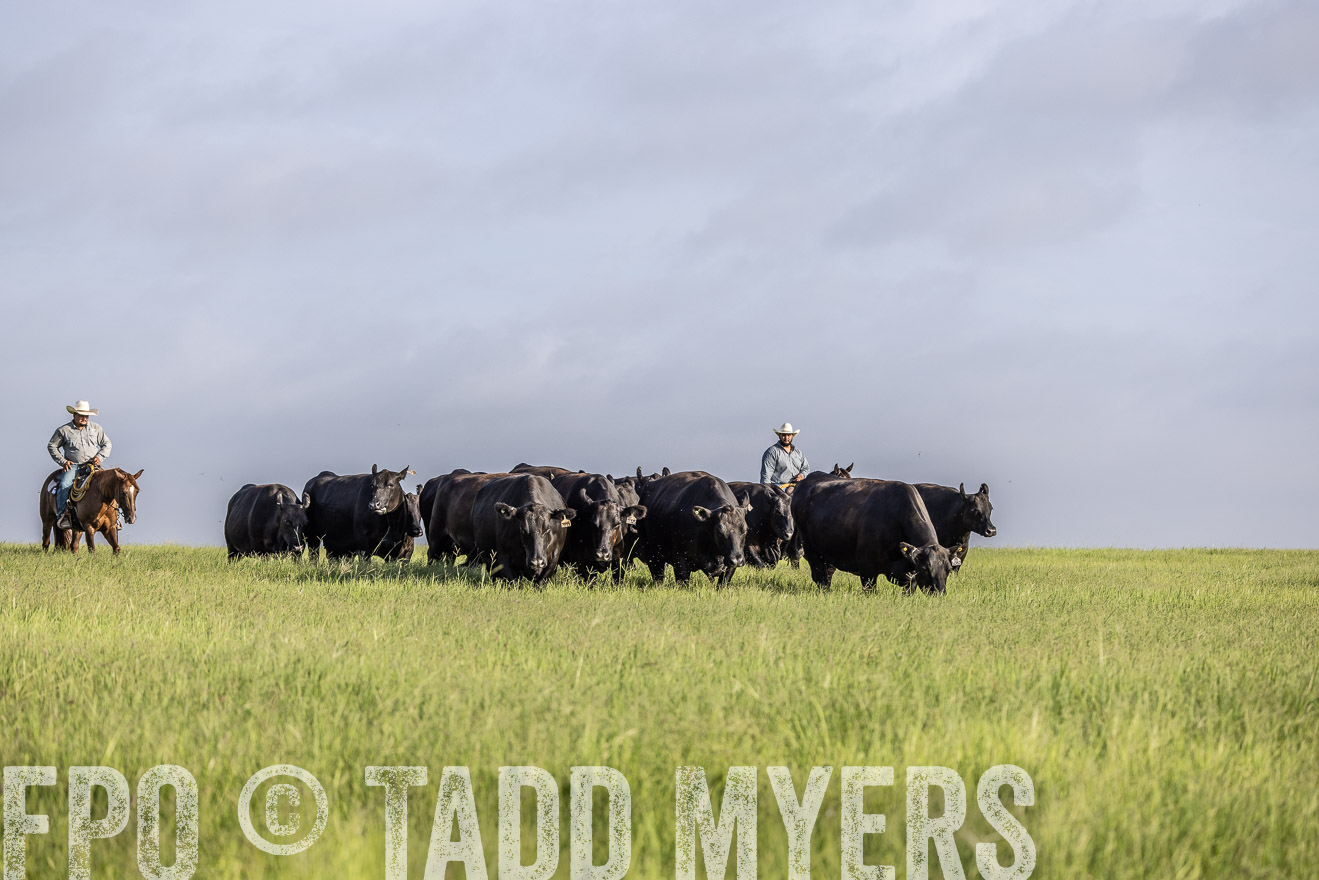 TMyers_44Farms_CameronTX_July2022--524488