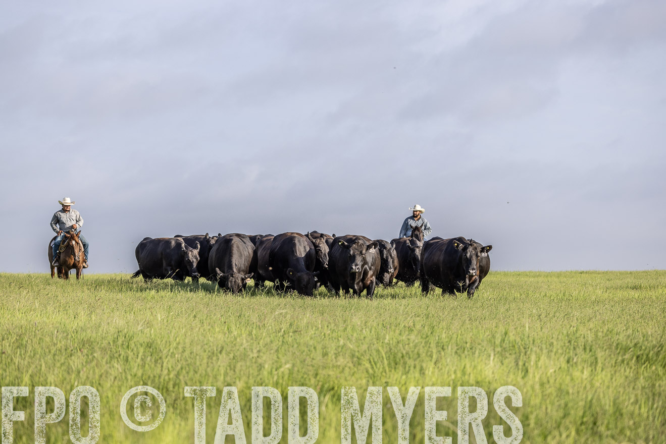 TMyers_44Farms_CameronTX_July2022--524494