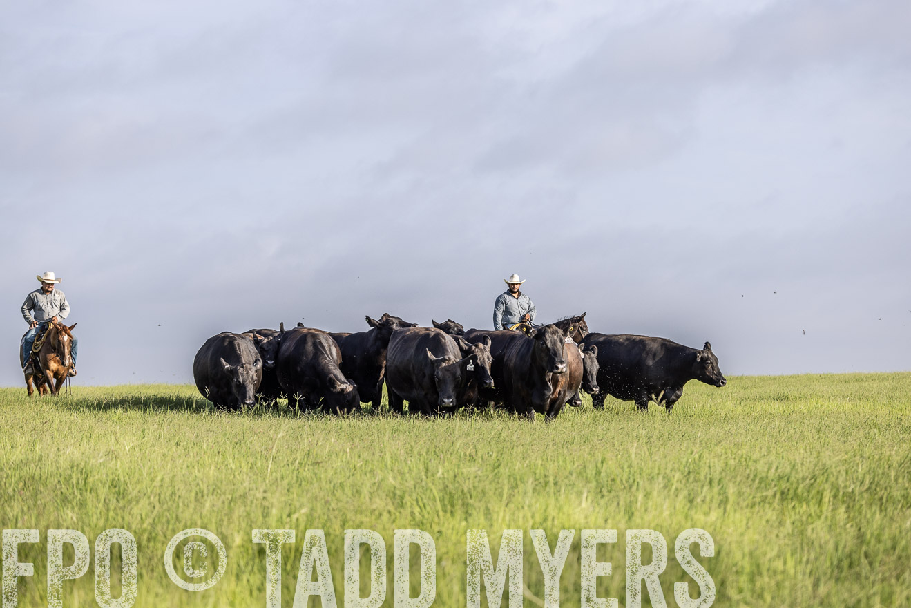 TMyers_44Farms_CameronTX_July2022--524503
