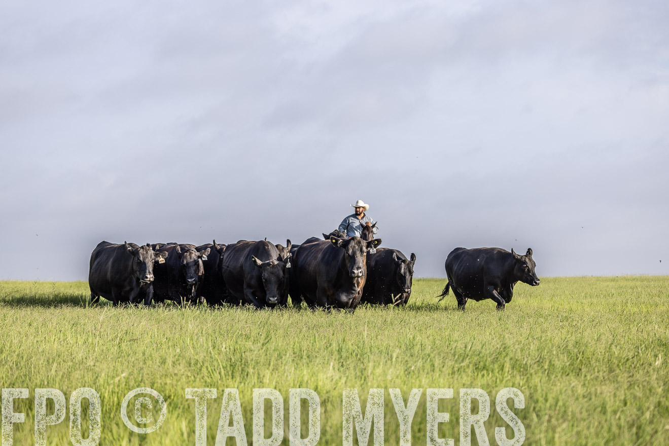 TMyers_44Farms_CameronTX_July2022--524510