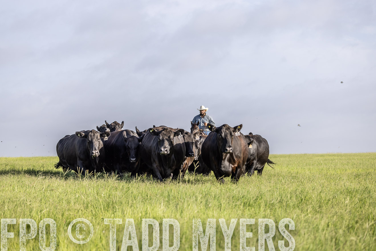 TMyers_44Farms_CameronTX_July2022--524521