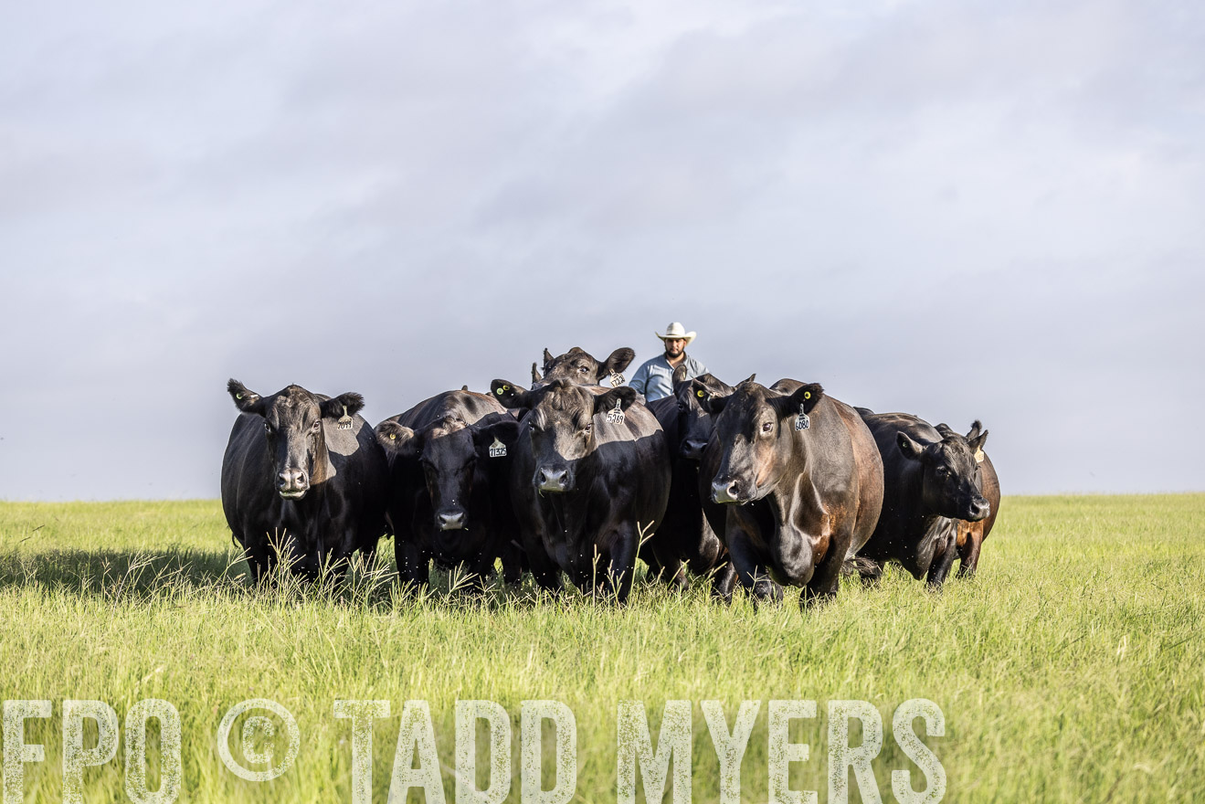 TMyers_44Farms_CameronTX_July2022--524528
