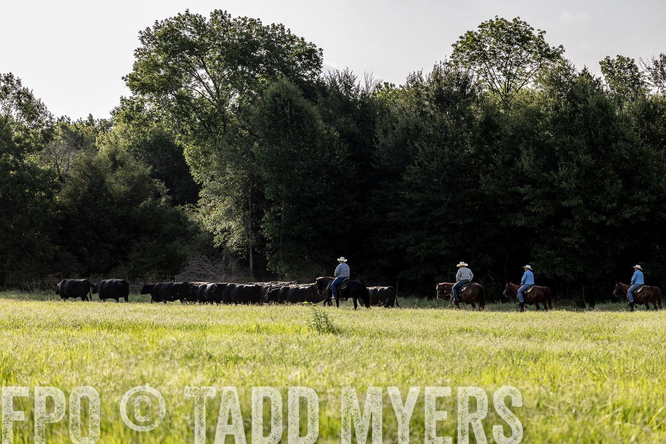 TMyers_44Farms_CameronTX_July2022--524573