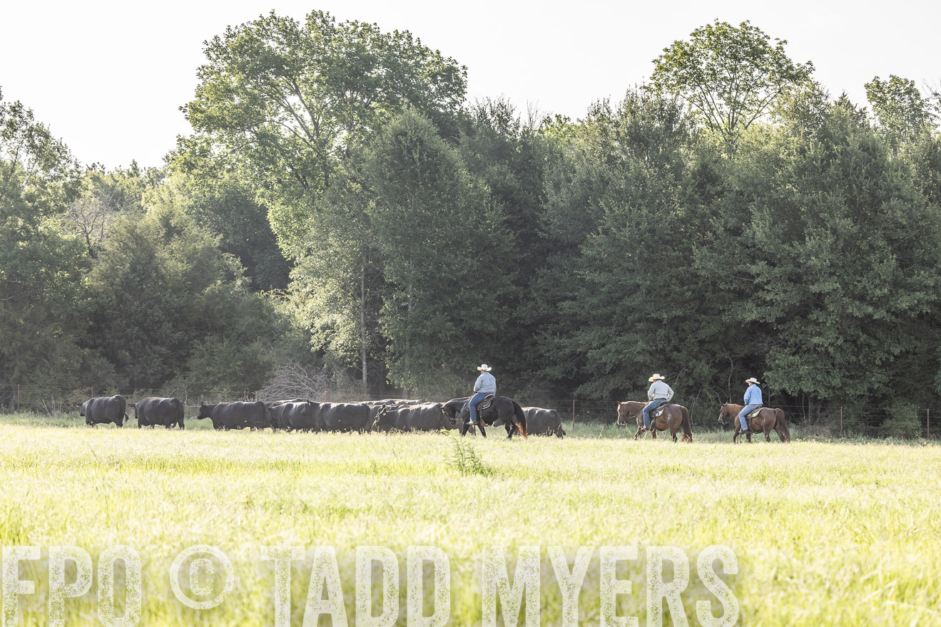 TMyers_44Farms_CameronTX_July2022--524574