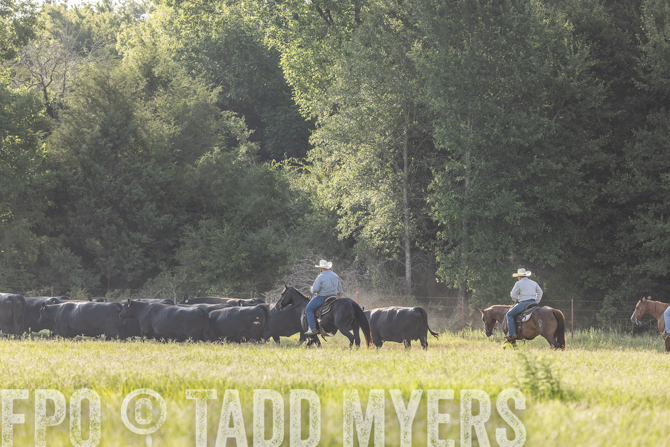 TMyers_44Farms_CameronTX_July2022--524578