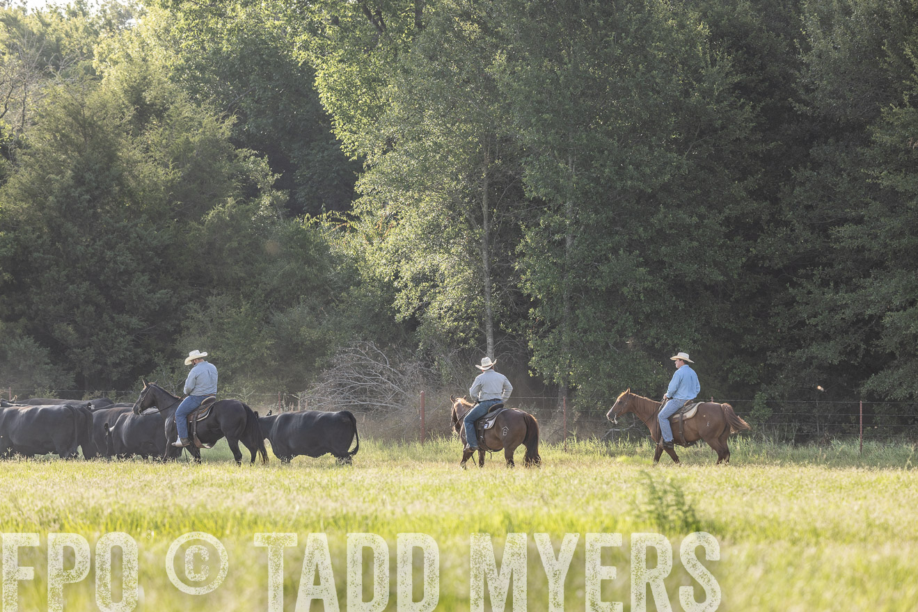 TMyers_44Farms_CameronTX_July2022--524581