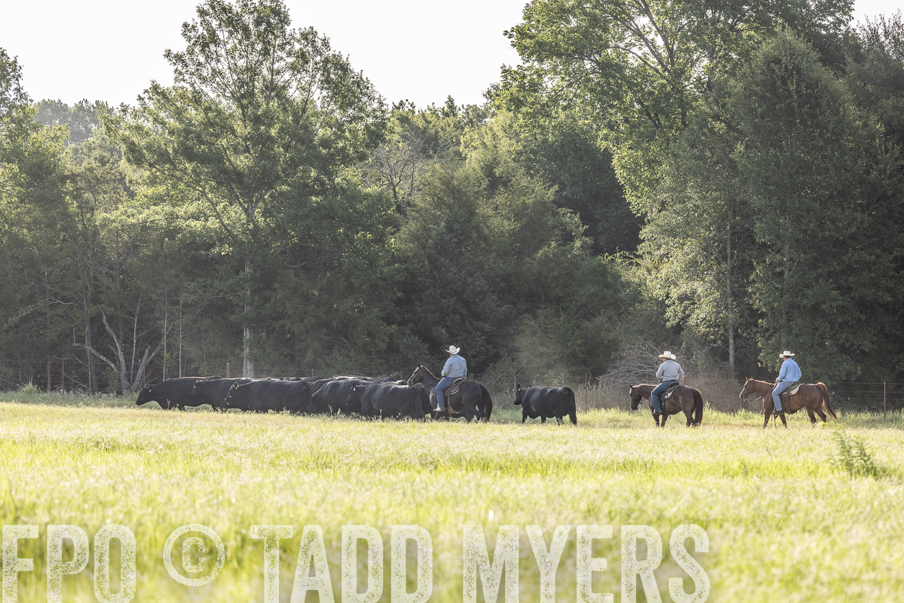 TMyers_44Farms_CameronTX_July2022--524584