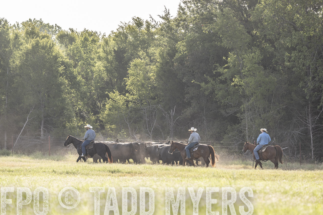 TMyers_44Farms_CameronTX_July2022--524602