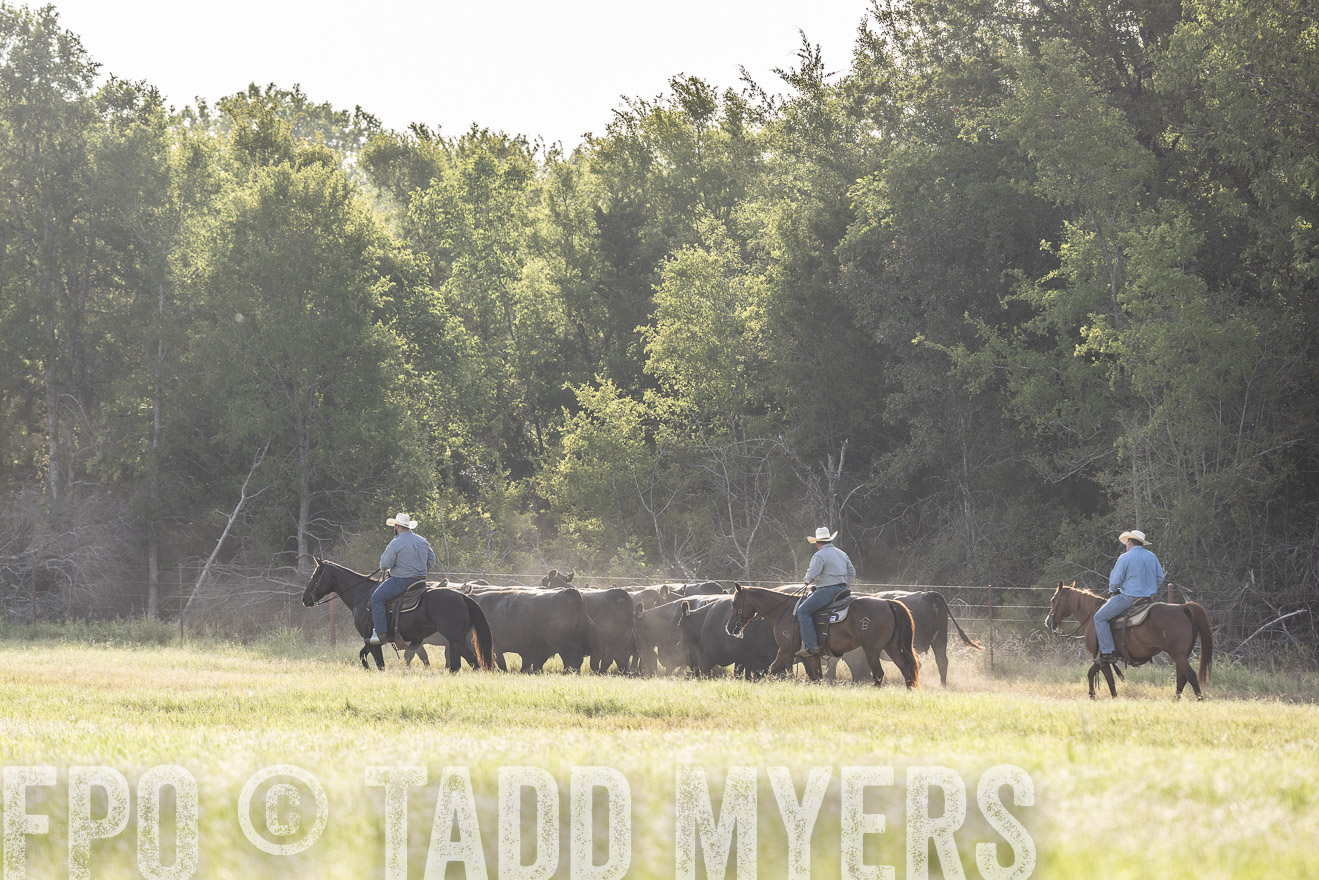 TMyers_44Farms_CameronTX_July2022--524604
