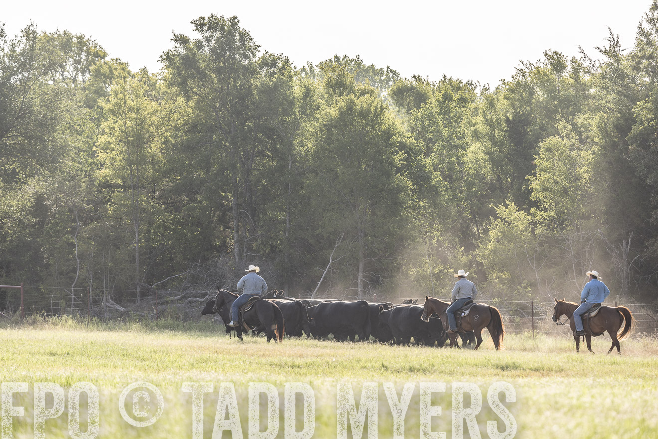 TMyers_44Farms_CameronTX_July2022--524610