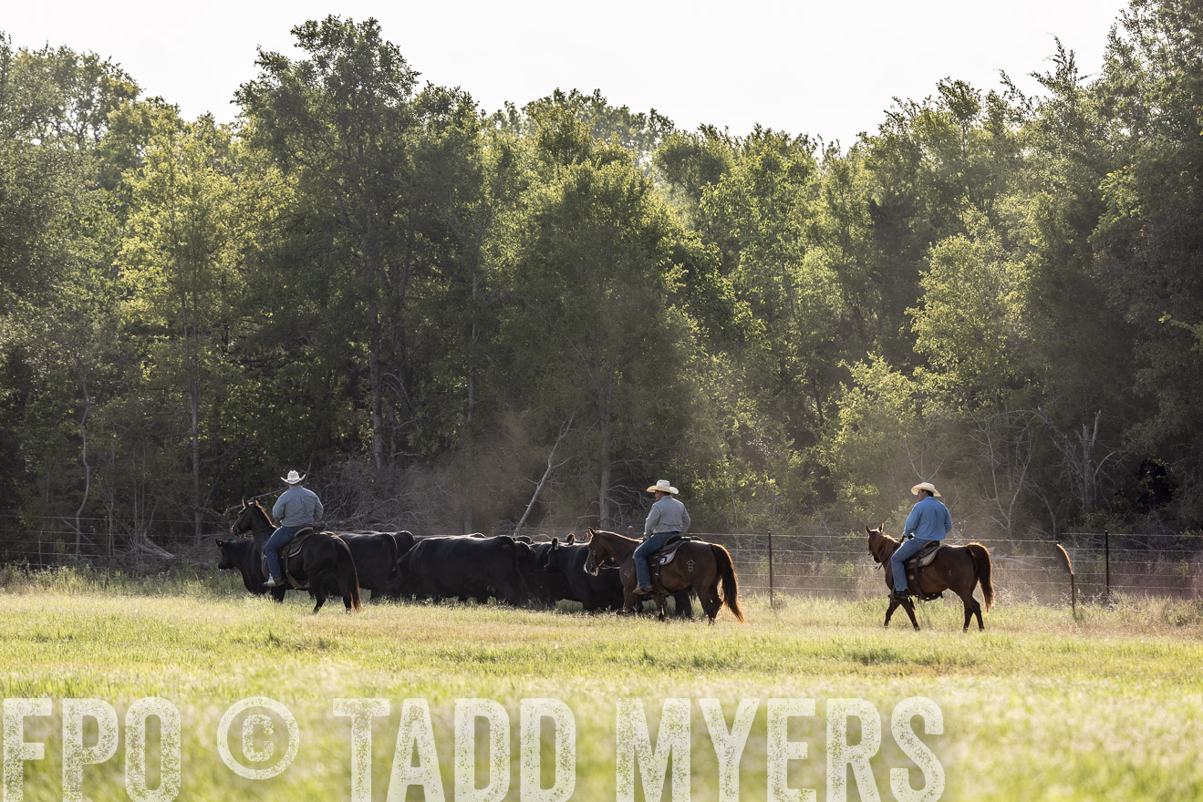 TMyers_44Farms_CameronTX_July2022--524611