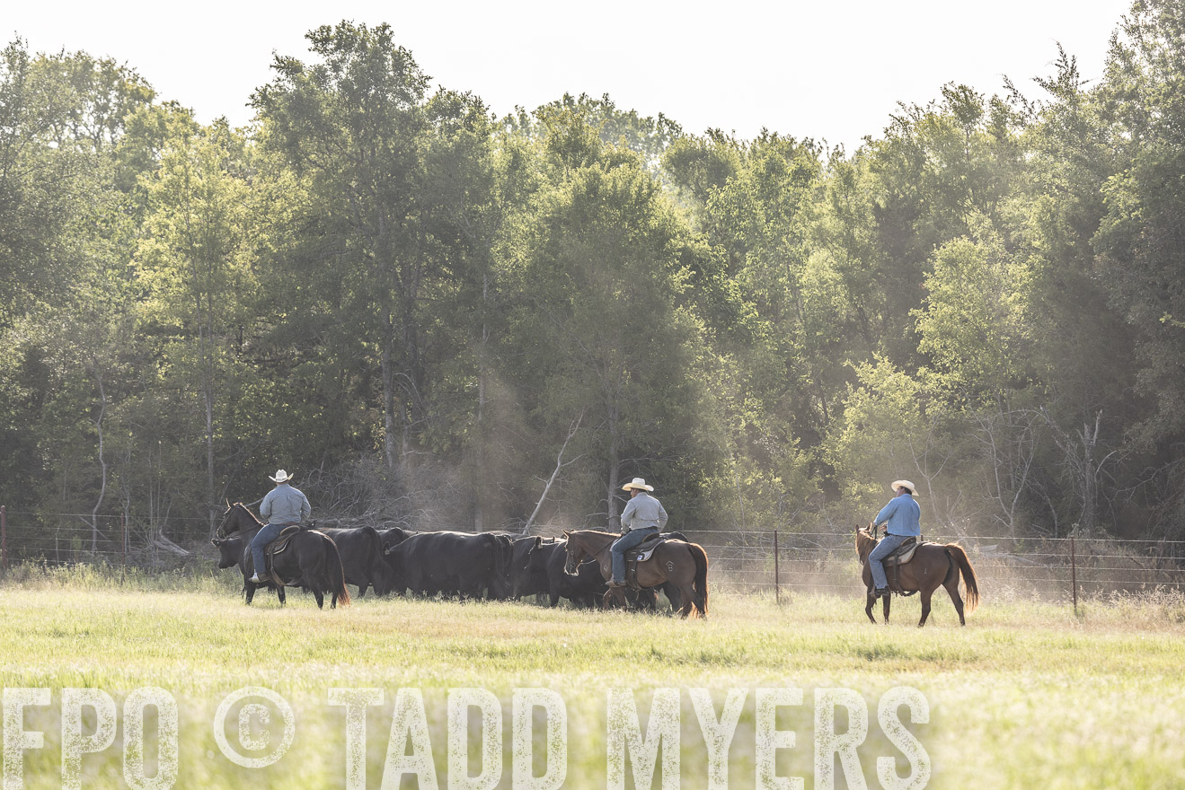 TMyers_44Farms_CameronTX_July2022--524612