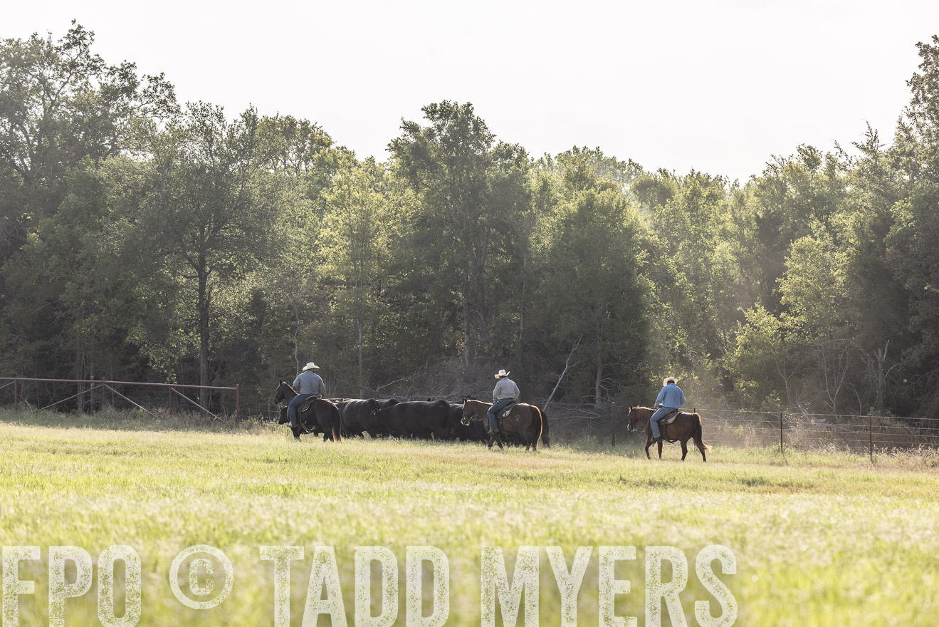 TMyers_44Farms_CameronTX_July2022--524616