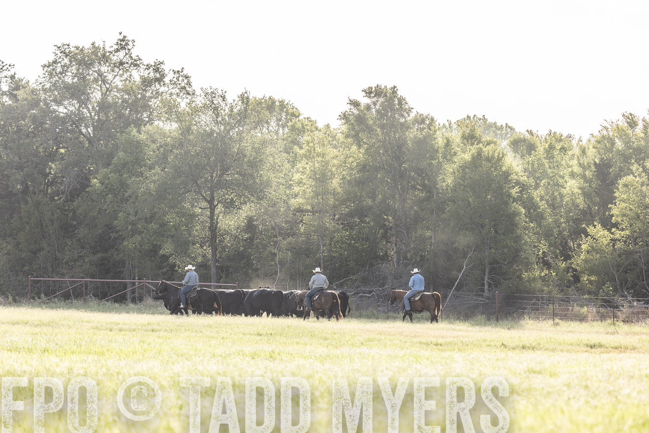 TMyers_44Farms_CameronTX_July2022--524619