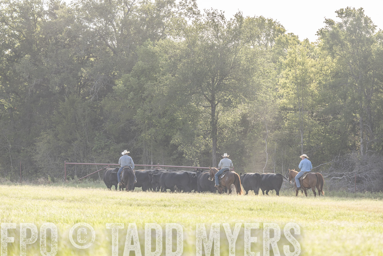 TMyers_44Farms_CameronTX_July2022--524626