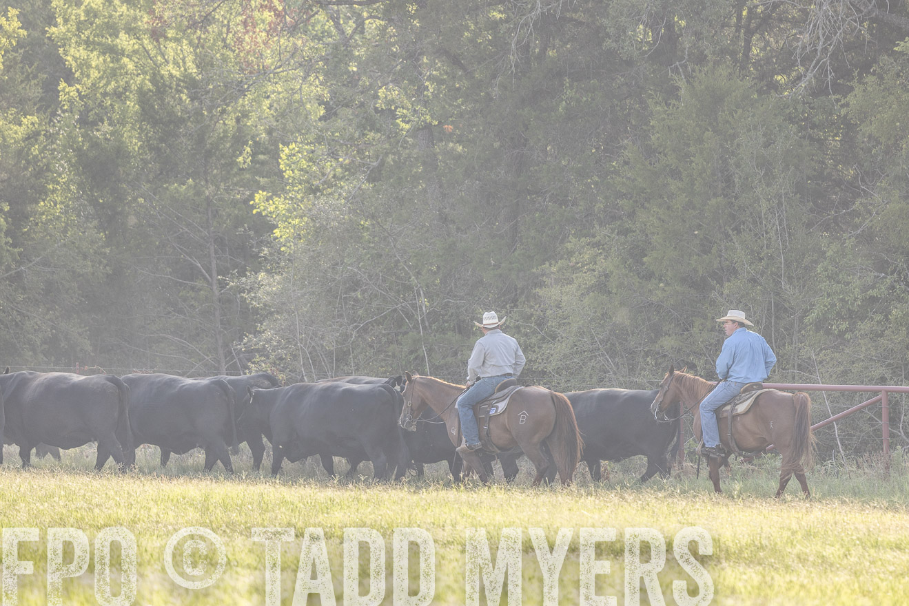TMyers_44Farms_CameronTX_July2022--524629