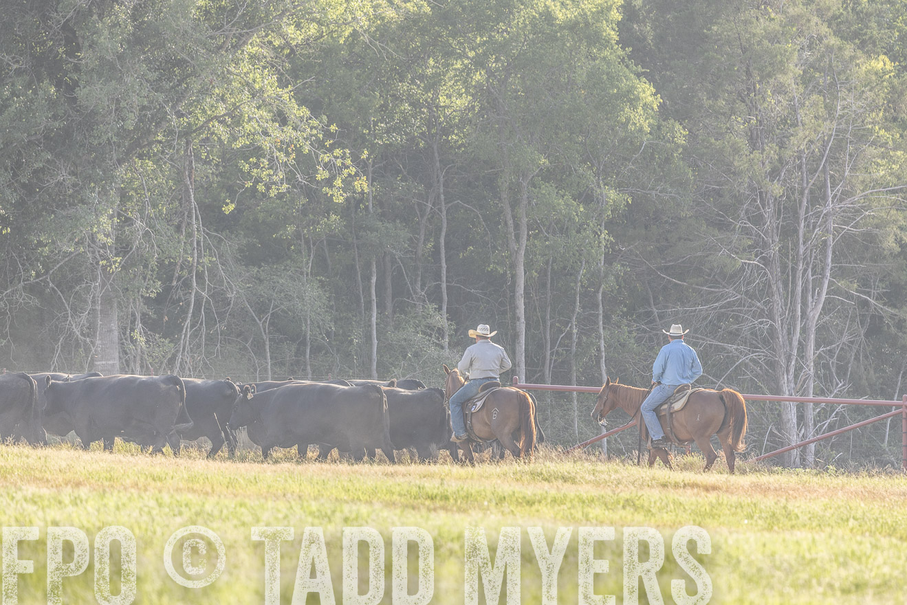 TMyers_44Farms_CameronTX_July2022--524642