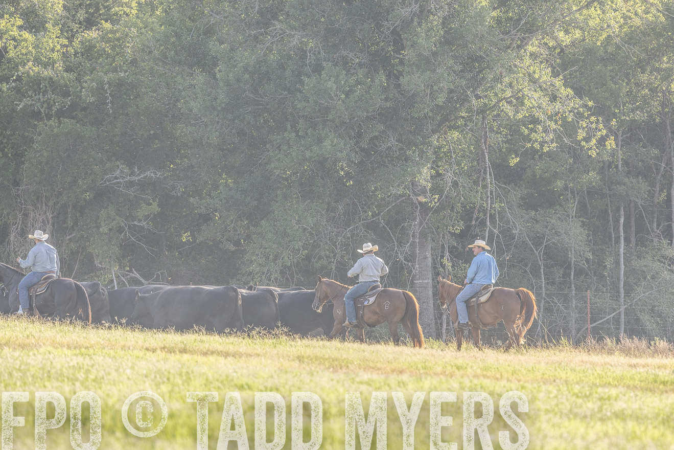 TMyers_44Farms_CameronTX_July2022--524650