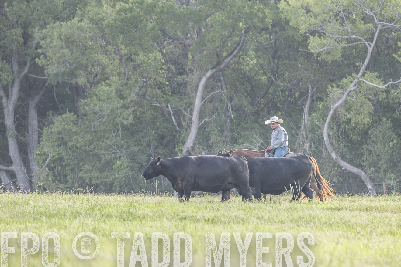 TMyers_44Farms_CameronTX_July2022--524658