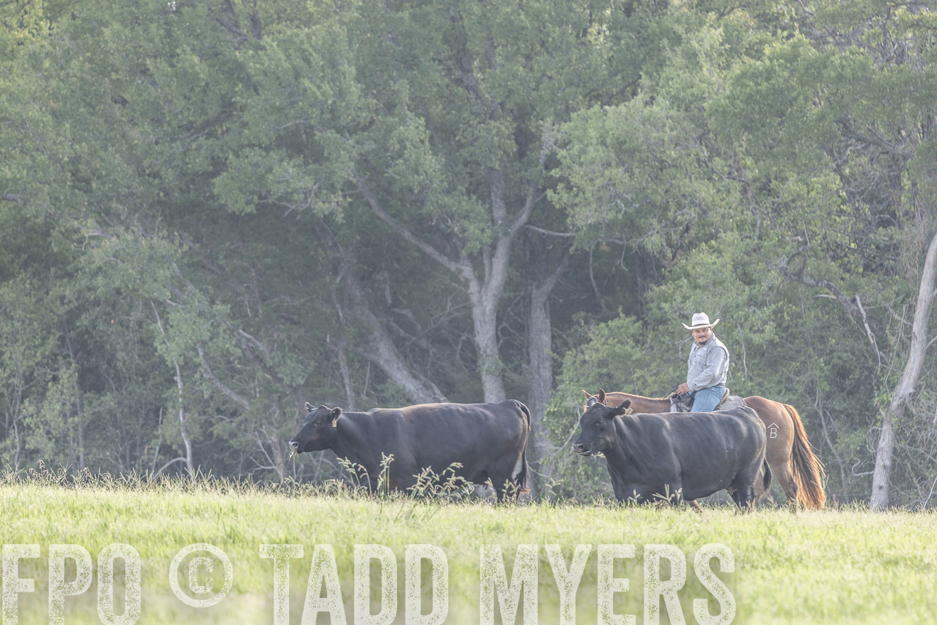 TMyers_44Farms_CameronTX_July2022--524662