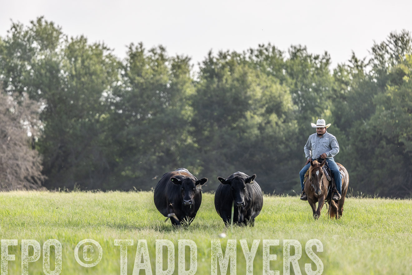 TMyers_44Farms_CameronTX_July2022--524679