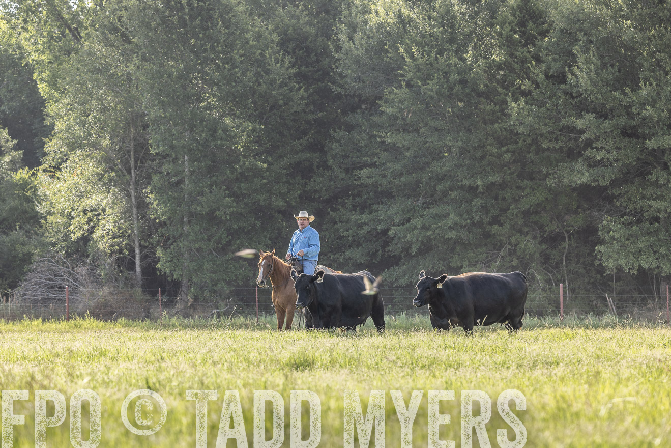 TMyers_44Farms_CameronTX_July2022--524759