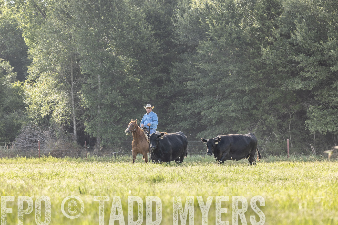 TMyers_44Farms_CameronTX_July2022--524760