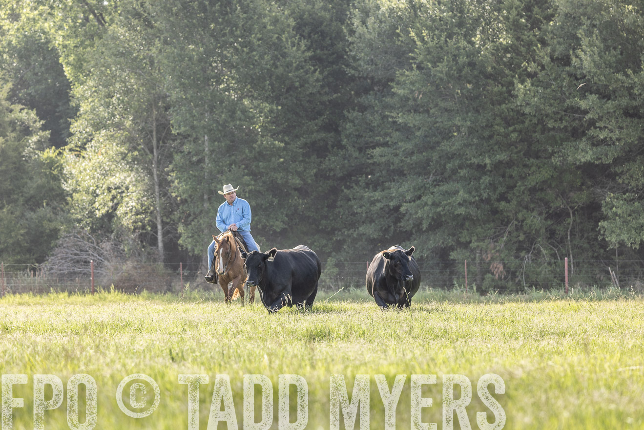 TMyers_44Farms_CameronTX_July2022--524766
